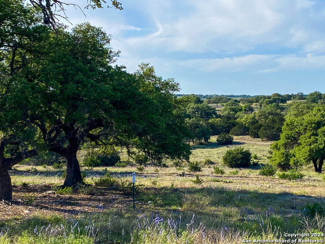 Image 7 of 21 For Lot 153 Loma Vista Ranch