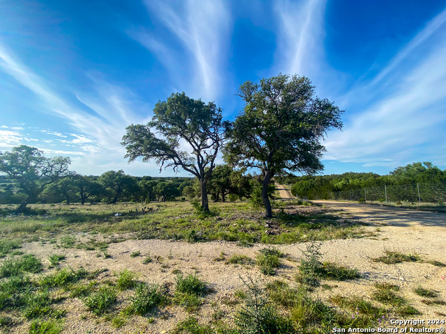 Image 8 of 21 For Lot 153 Loma Vista Ranch