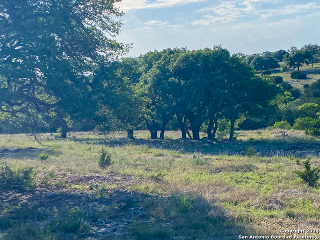 Image 9 of 21 For Lot 153 Loma Vista Ranch