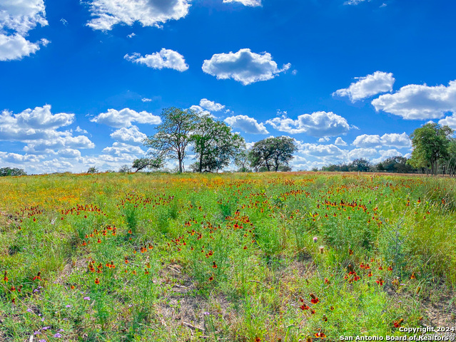 Details for Lot 43 Creekside At Camp Verde, Center Point, TX 78010