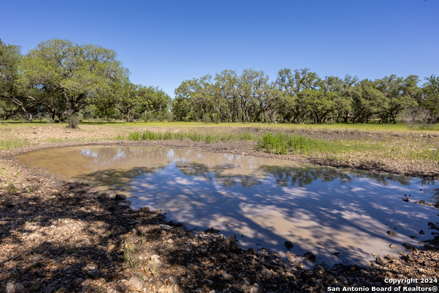 Image 15 of 24 For 205 County Road 253