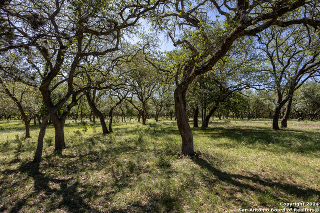 Image 16 of 24 For 205 County Road 253