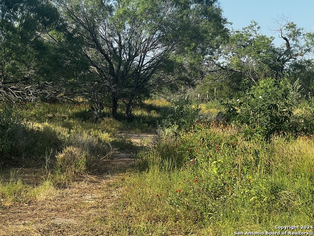 Image 8 of 10 For 521 County Road 7713