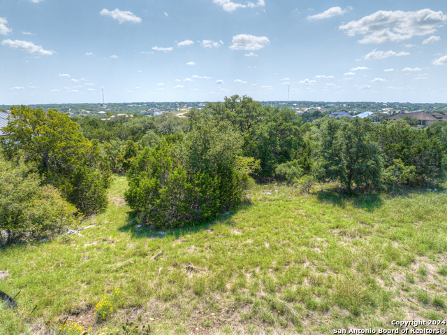 Details for 1020 Riesling, New Braunfels, TX 78132