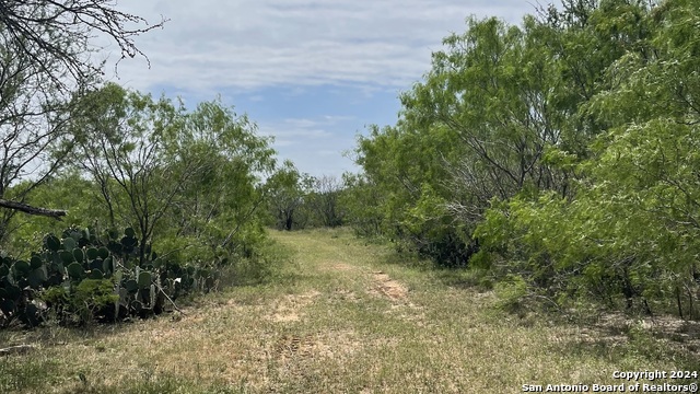 Details for Lot 8 Cr 327, Jourdanton, TX 78026