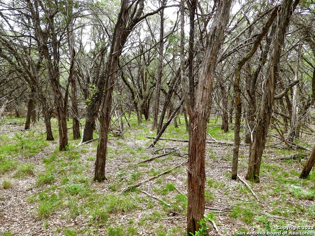 Image 8 of 10 For Tbd Park Road 37