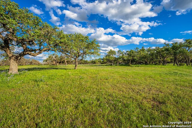 Image 7 of 11 For Lot 85 Stock Pond Drive