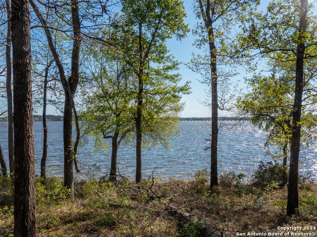 Details for 3108 Shadow Pine Drive, Larue, TX 75770