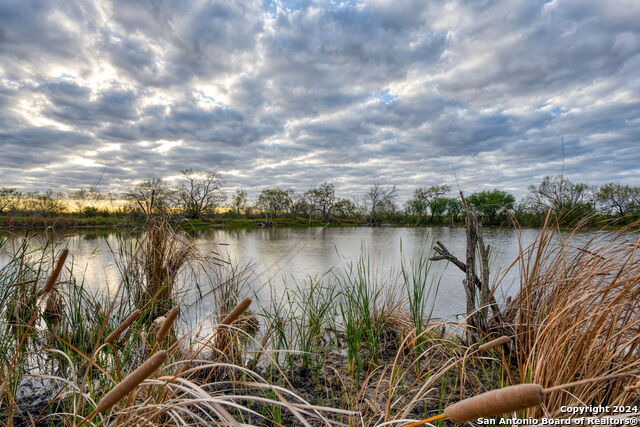 Image 14 of 26 For 000 County Road 422