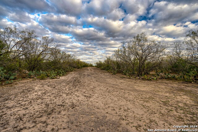 Image 20 of 26 For 000 County Road 422