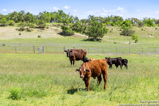 Image 12 of 30 For 3758 Us Hwy 281 N