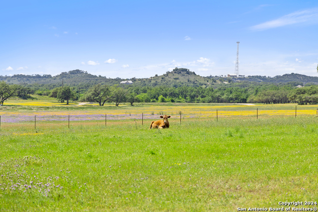 Image 6 of 30 For 3758 Us Hwy 281 N