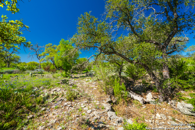 Image 22 of 40 For 0 Paleface Ranch Road