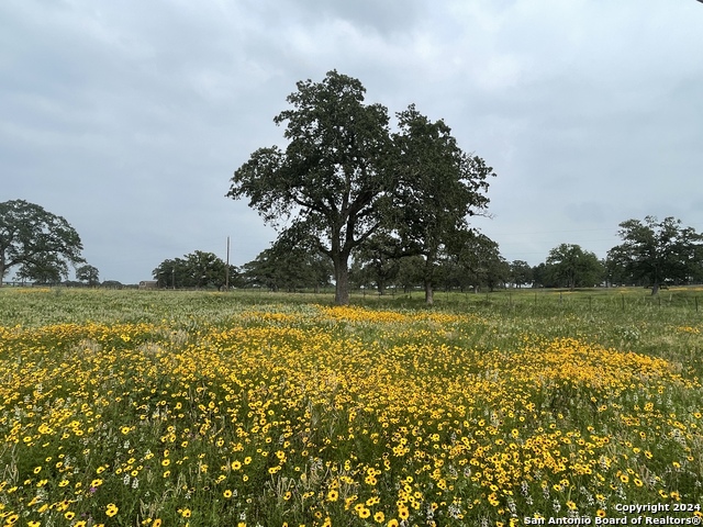 Image 8 of 12 For Tbd Hwy 123  