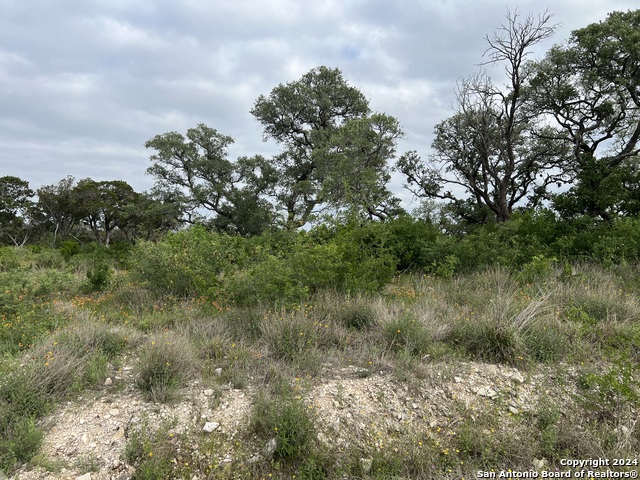 Details for Tbd Pr 2771  , Mico, TX 78056