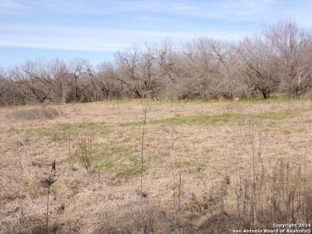 Image 6 of 9 For 000 Tbd State Highway 123 S