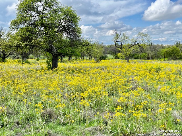 Image 18 of 26 For 15227 Ranch Road 965