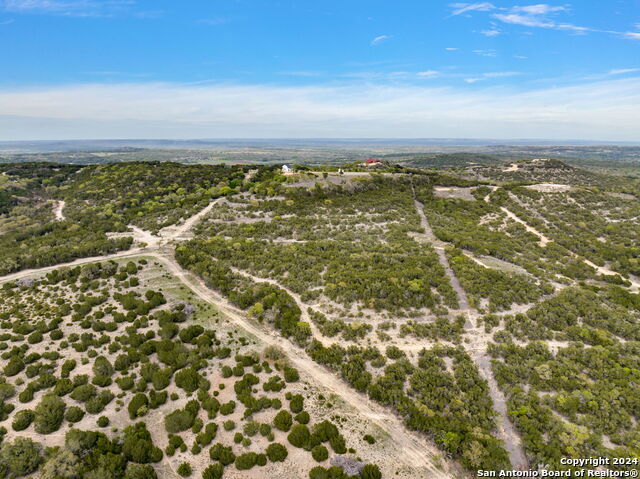 Details for 689 Lot 11 Fm 289, Comfort, TX 78013