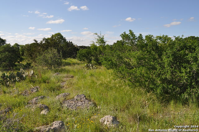 Image 9 of 32 For Lot 100 Palomino Spgs