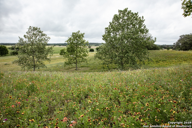 Image 39 of 43 For 559 County Road 336