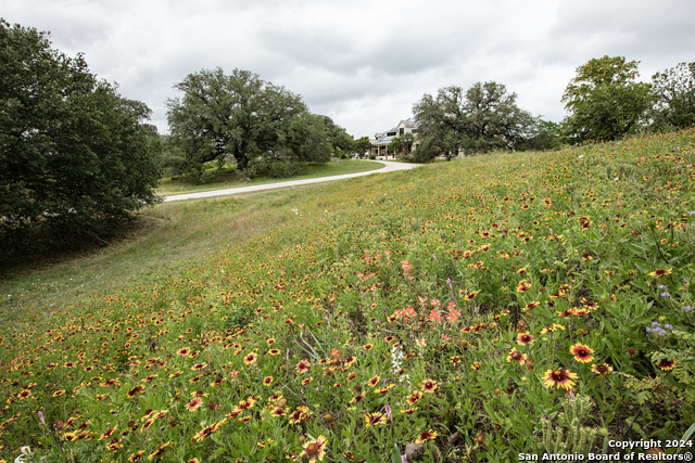 Image 4 of 43 For 559 County Road 336