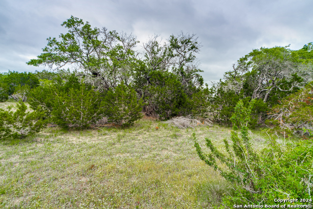 Image 8 of 13 For 980 Scarlett Ridge