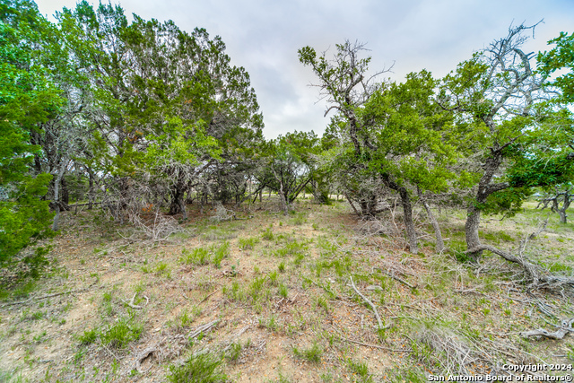 Image 9 of 13 For 980 Scarlett Ridge