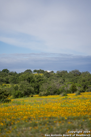 Image 105 of 109 For 5271 Us Highway 290