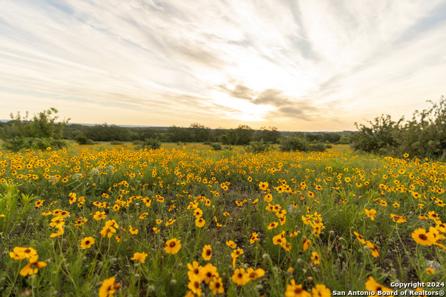 Image 74 of 109 For 5271 Us Highway 290