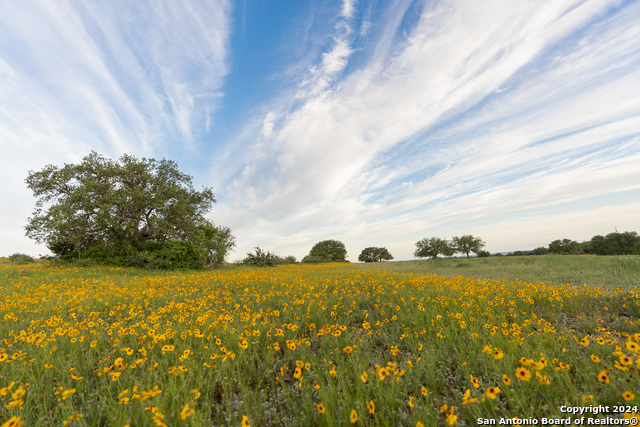 Image 75 of 109 For 5271 Us Highway 290