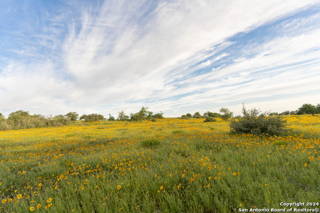 Image 78 of 109 For 5271 Us Highway 290