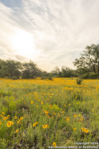 Image 85 of 109 For 5271 Us Highway 290