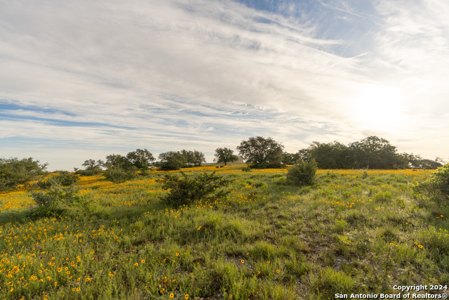 Image 86 of 109 For 5271 Us Highway 290