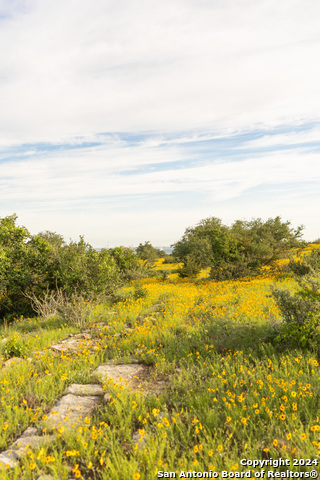 Image 88 of 109 For 5271 Us Highway 290