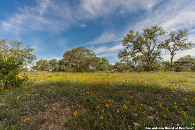 Image 91 of 109 For 5271 Us Highway 290