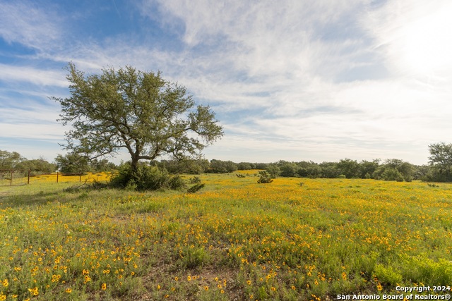 Image 94 of 109 For 5271 Us Highway 290