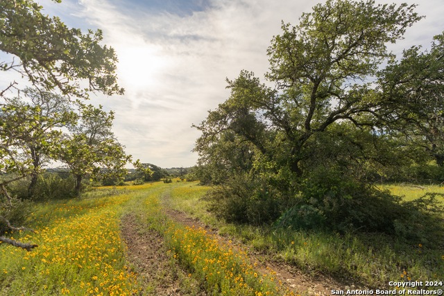 Image 97 of 109 For 5271 Us Highway 290