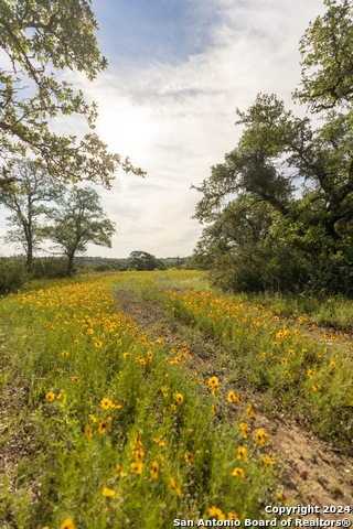 Image 98 of 109 For 5271 Us Highway 290