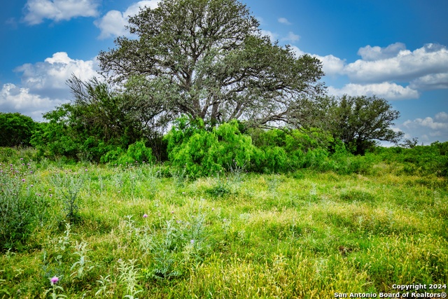 Image 44 of 50 For 1224 Nolte-boehl Rd