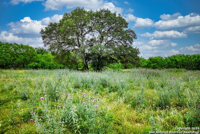 Image 45 of 50 For 1224 Nolte-boehl Rd