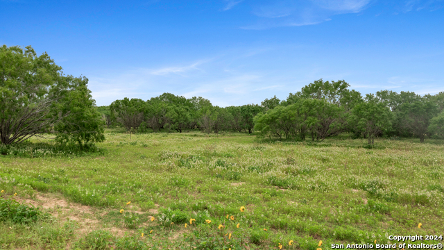 Details for 1467 County Road 120 Unit B, Floresville, TX 78114