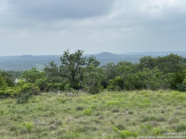 Image 1 of 19 For 23 Lipan Apache Run