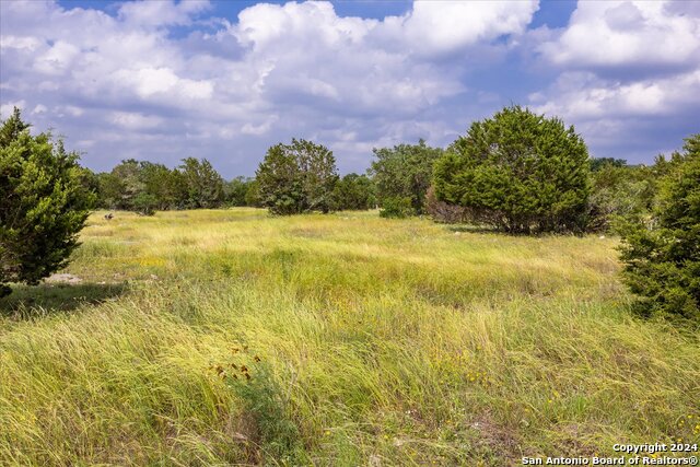 Image 17 of 40 For Lot 88 Sabinas Ridge Rd