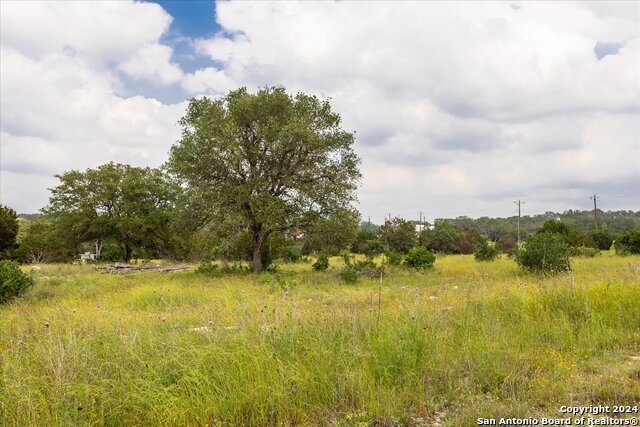 Image 24 of 40 For Lot 88 Sabinas Ridge Rd