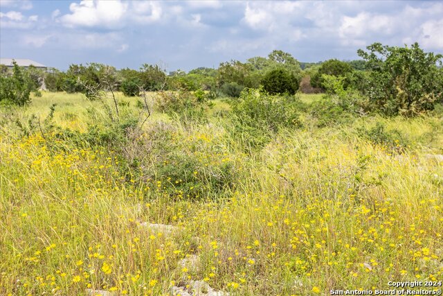 Image 8 of 40 For Lot 88 Sabinas Ridge Rd