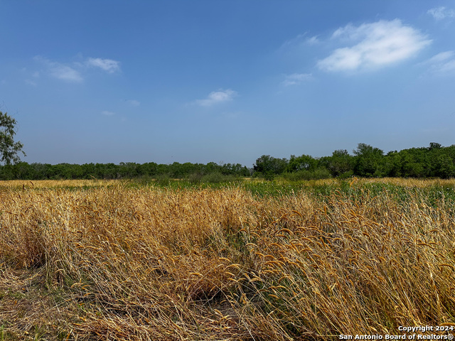 Image 15 of 25 For 2192 County Road 5710