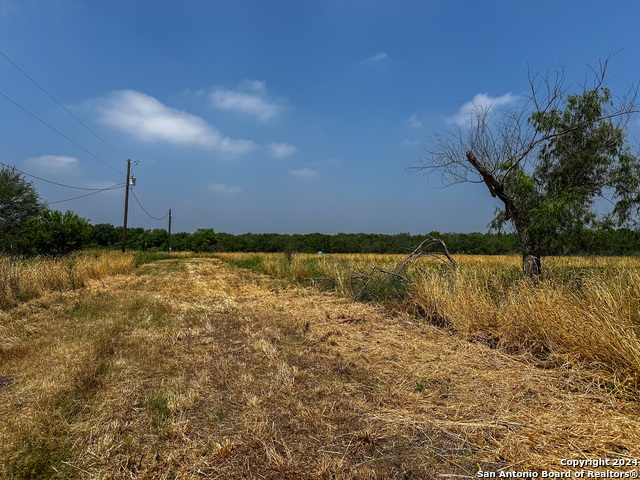 Image 16 of 25 For 2192 County Road 5710