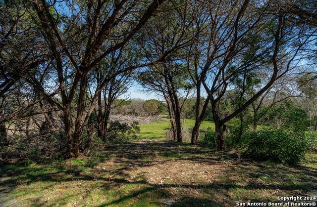 Image 13 of 32 For 101 Blanco River Ranch