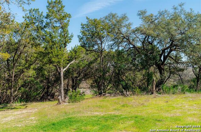 Image 17 of 32 For 101 Blanco River Ranch