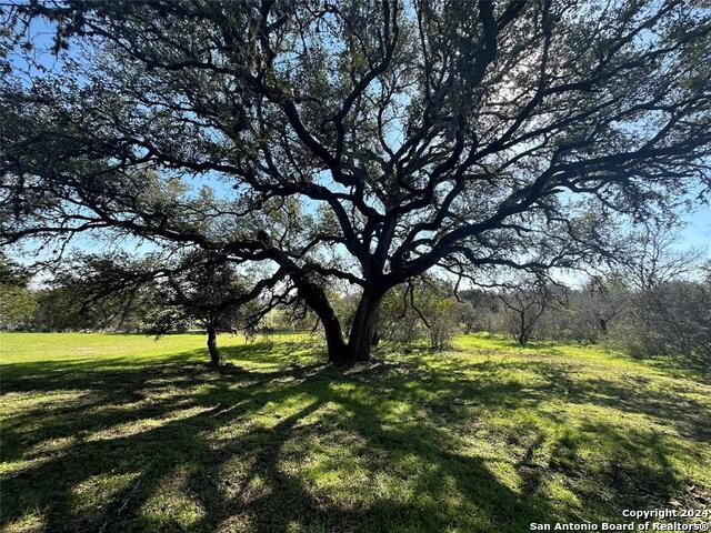 Image 2 of 32 For 101 Blanco River Ranch